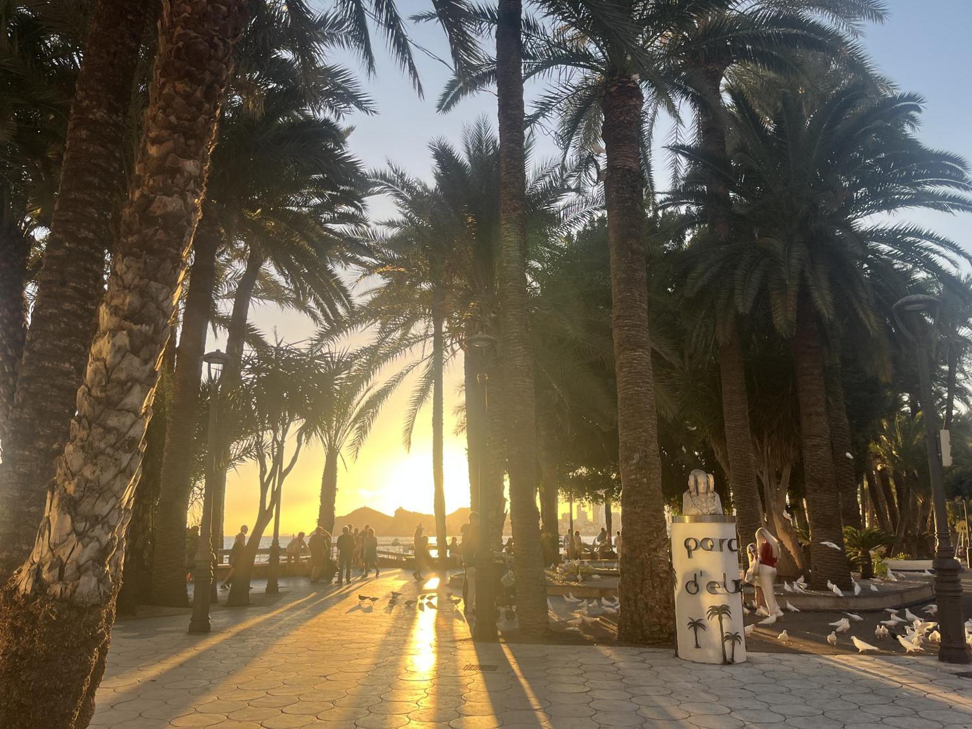 Rouna V By Gloove Benidorm